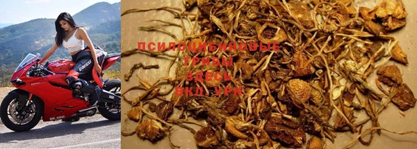 прущая мука Кукмор